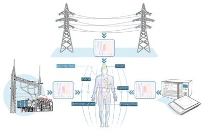 System-level biological effects of extremely low-frequency electromagnetic fields: an in vivo experimental review